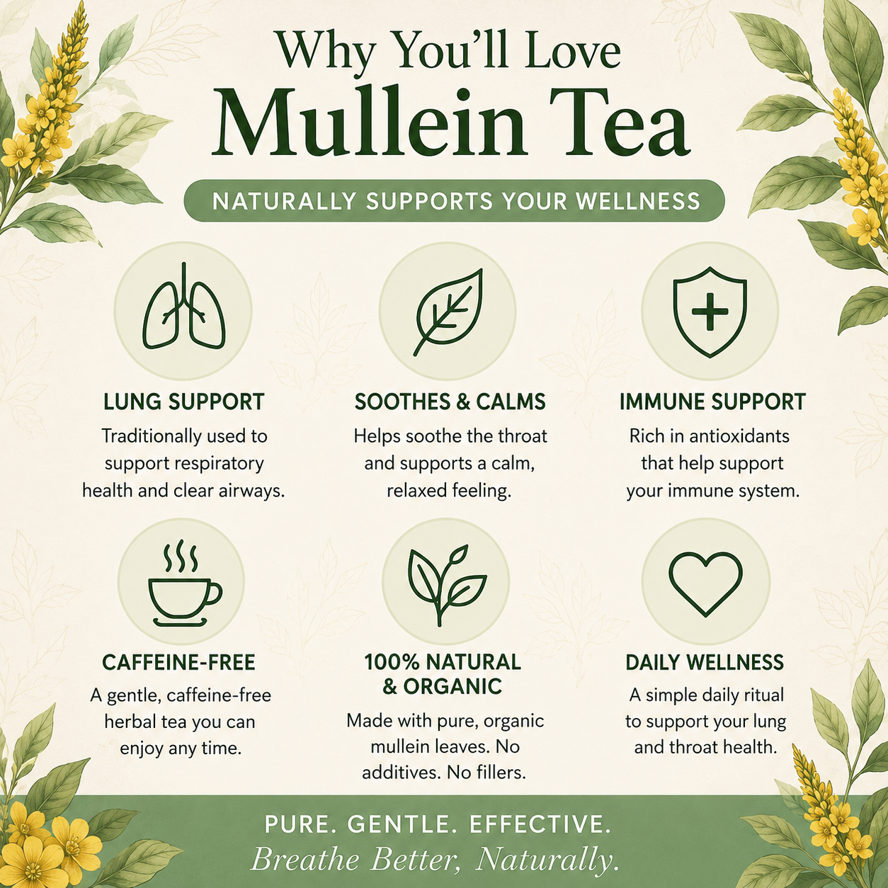 Benefits of FloraVital Organic Mullein Tea Bags infographic